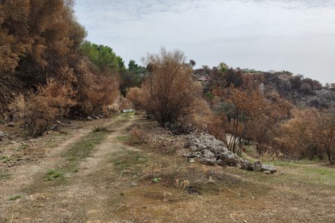 Erhvervsejendom i Melilli, Siracusa, Melilli - € 18.000 | Ref: TR1116 - foto 9