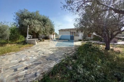 Villa a Floridia, Siracusa, Floridia - € 60.000 | Ref: FL VCAM 01 - foto 4