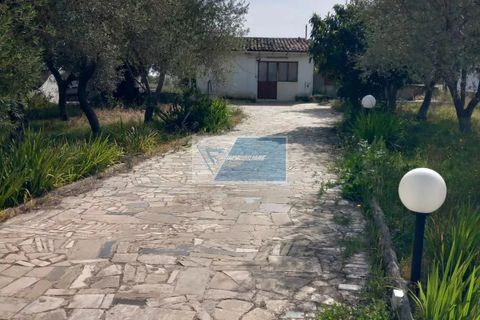 Villa a Floridia, Siracusa, Floridia - € 60.000 | Ref: FL VCAM 01 - foto 5