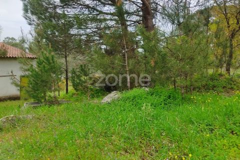 Terra a Nelas, Viseu, Nelas - € 75.000 | Ref: ZMPT566039 - foto 4
