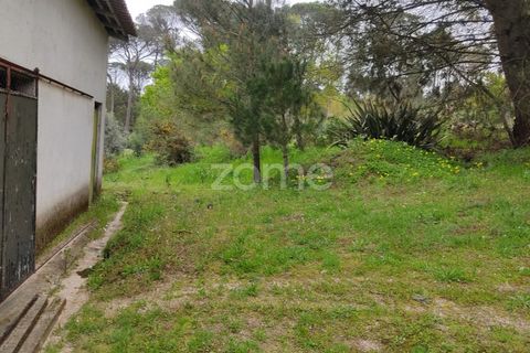 Terra a Nelas, Viseu, Nelas - € 75.000 | Ref: ZMPT566039 - foto 5