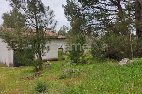 Terra a Nelas, Viseu, Nelas - € 75.000 | Ref: ZMPT566039 - foto 7