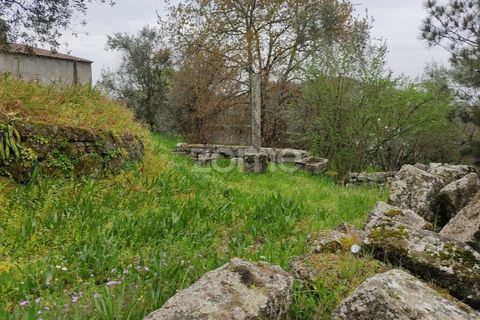 Terra a Nelas, Viseu, Nelas - € 75.000 | Ref: ZMPT566039 - foto 8