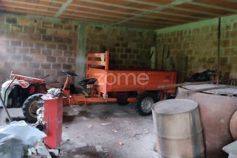 Terra a Nelas, Viseu, Nelas - € 75.000 | Ref: ZMPT566039 - foto 9