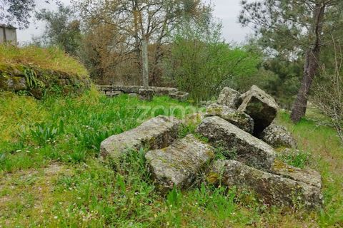 Terra a Nelas, Viseu, Nelas - € 75.000 | Ref: ZMPT566039 - foto 10