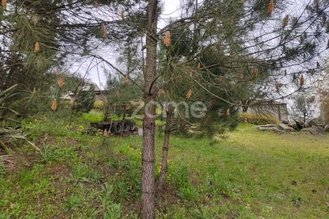 Terra a Nelas, Viseu, Nelas - € 75.000 | Ref: ZMPT566039 - foto 11