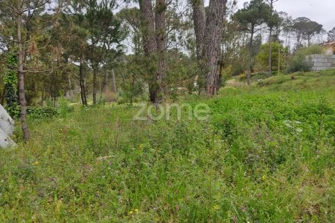 Terra a Nelas, Viseu, Nelas - € 75.000 | Ref: ZMPT566039 - foto 12