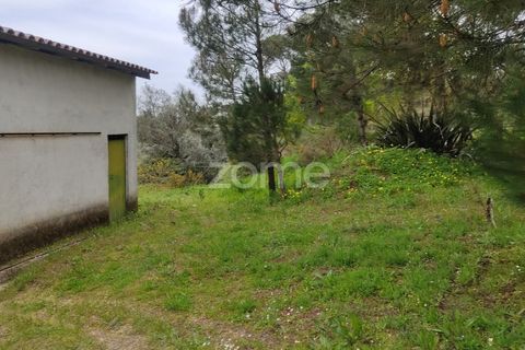 Terra a Nelas, Viseu, Nelas - € 75.000 | Ref: ZMPT566039 - foto 15