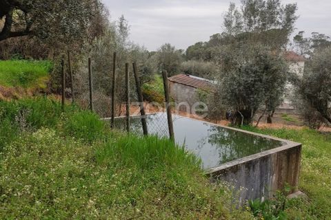 Terra a Nelas, Viseu, Nelas - € 75.000 | Ref: ZMPT566039 - foto 22
