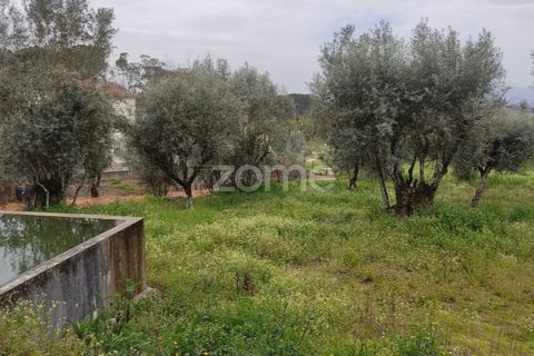 Terra a Nelas, Viseu, Nelas - € 75.000 | Ref: ZMPT566039 - foto 23