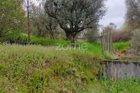 Terra a Nelas, Viseu, Nelas - € 75.000 | Ref: ZMPT566039 - foto 24
