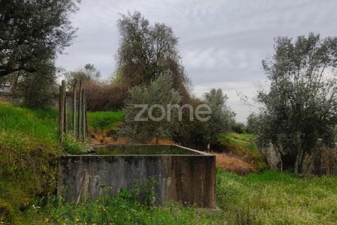 Terra a Nelas, Viseu, Nelas - € 75.000 | Ref: ZMPT566039 - foto 25