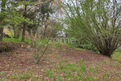 Terra a Nelas, Viseu, Nelas - € 75.000 | Ref: ZMPT566039 - foto 27