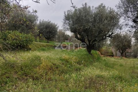Terra a Nelas, Viseu, Nelas - € 75.000 | Ref: ZMPT566039 - foto 28