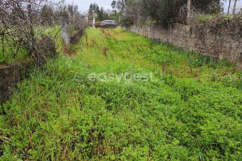 Villa i Castelo Branco, Castelo Branco, Castelo Branco - € 180.000 | Ref: CB95121MA - foto 3