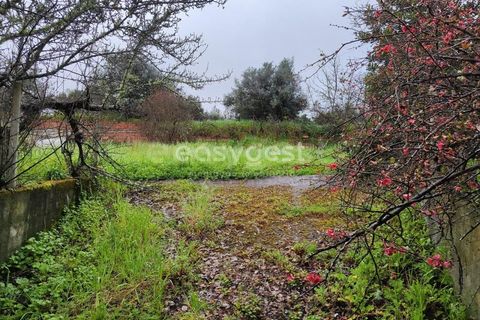 Villa i Castelo Branco, Castelo Branco, Castelo Branco - € 180.000 | Ref: CB95121MA - foto 30