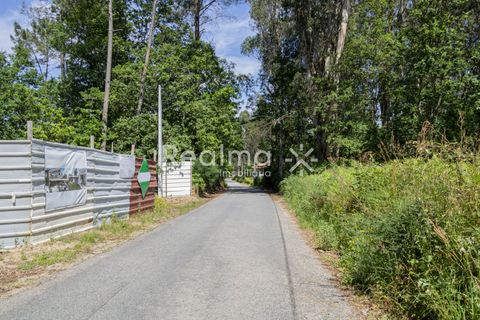 Villa i Vila Verde, Braga, Vila Verde - € 350.000 | Ref: R01524 - foto 8