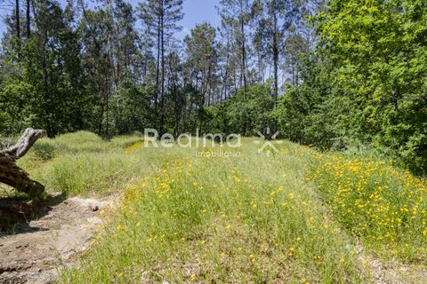 Villa i Vila Verde, Braga, Vila Verde - € 350.000 | Ref: R01524 - foto 10
