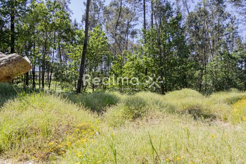 Villa i Vila Verde, Braga, Vila Verde - € 350.000 | Ref: R01524 - foto 11
