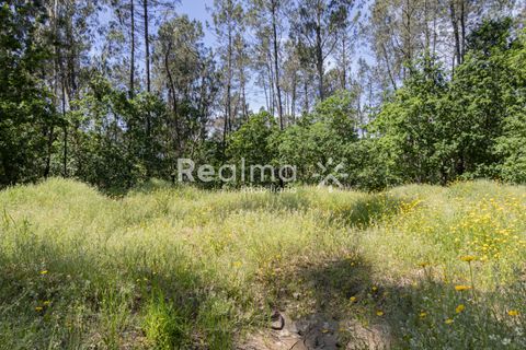 Villa i Vila Verde, Braga, Vila Verde - € 350.000 | Ref: R01524 - foto 12