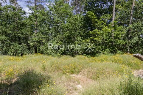 Villa i Vila Verde, Braga, Vila Verde - € 350.000 | Ref: R01524 - foto 13