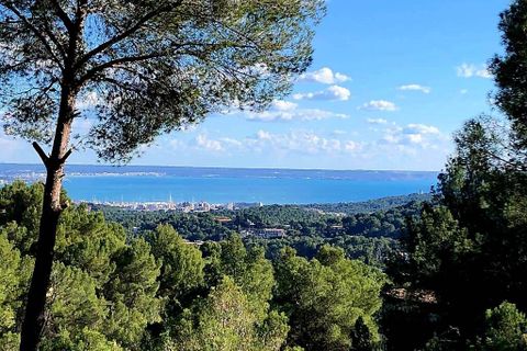 Terreno en Son Vida, Mallorca, Son Vida - € 3.500.000 | Ref: SH-1367 - photo 6