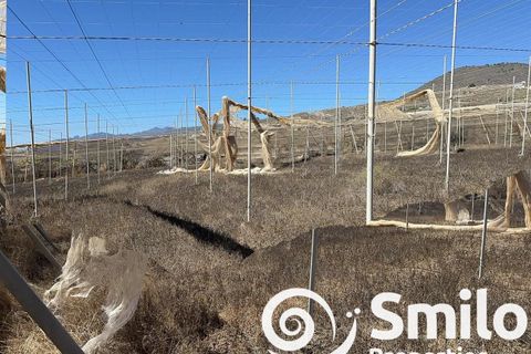 Landejendom i Adeje, Tenerife, Adeje - € 650.000 | Ref: 6097 - foto 4