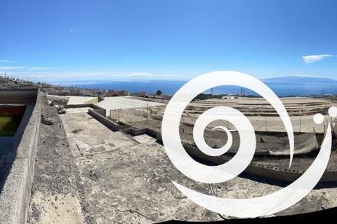Landejendom i Adeje, Tenerife, Adeje - € 650.000 | Ref: 6097 - foto 10