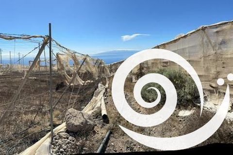 Landejendom i Adeje, Tenerife, Adeje - € 650.000 | Ref: 6097 - foto 12