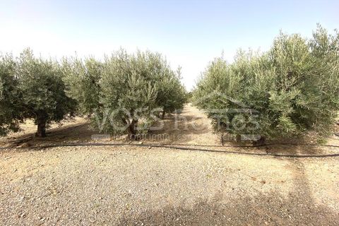 Landejendom i Huercal-Overa, Almeria, Huercal-Overa - € 69.950 | Ref: VH2352 - foto 10