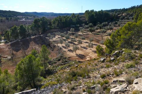 Finca i Mazaleon, Teruel, Mazaleon - € 10.500 | Ref: 0983 - foto 23