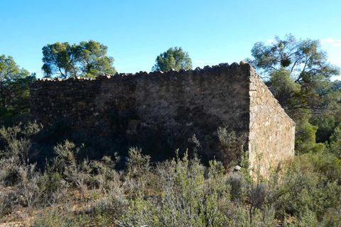 Finca i Mazaleon, Teruel, Mazaleon - € 10.500 | Ref: 0983 - foto 11