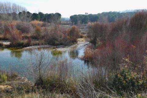 Finca i Mazaleon, Teruel, Mazaleon - € 10.500 | Ref: 0983 - foto 26