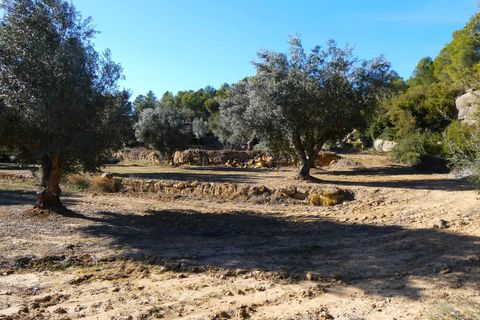 Finca i Mazaleon, Teruel, Mazaleon - € 10.500 | Ref: 0983 - foto 6