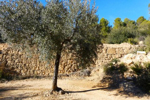 Finca i Mazaleon, Teruel, Mazaleon - € 10.500 | Ref: 0983 - foto 7
