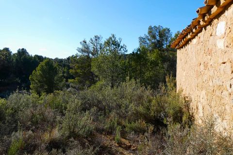 Finca i Mazaleon, Teruel, Mazaleon - € 10.500 | Ref: 0983 - foto 18