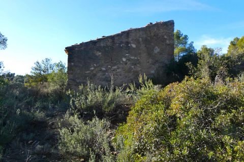 Finca i Mazaleon, Teruel, Mazaleon - € 10.500 | Ref: 0983 - foto 19
