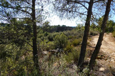 Finca i Mazaleon, Teruel, Mazaleon - € 10.500 | Ref: 0983 - foto 22