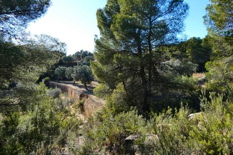 Finca i Mazaleon, Teruel, Mazaleon - € 10.500 | Ref: 0983 - foto 9