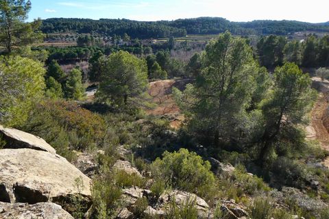 Finca i Mazaleon, Teruel, Mazaleon - € 10.500 | Ref: 0983 - foto 25