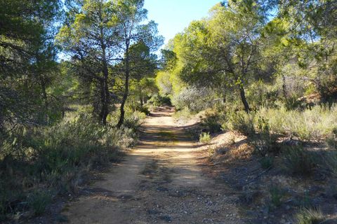 Finca i Mazaleon, Teruel, Mazaleon - € 10.500 | Ref: 0983 - foto 10