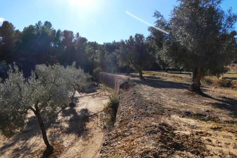 Finca i Mazaleon, Teruel, Mazaleon - € 10.500 | Ref: 0983 - foto 8