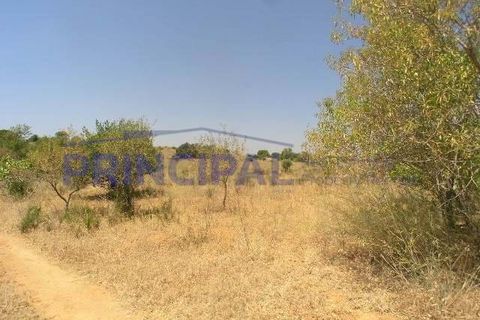 Ruinere i Silves, Faro, Silves - € 280.000 | Ref: P147 - foto 4