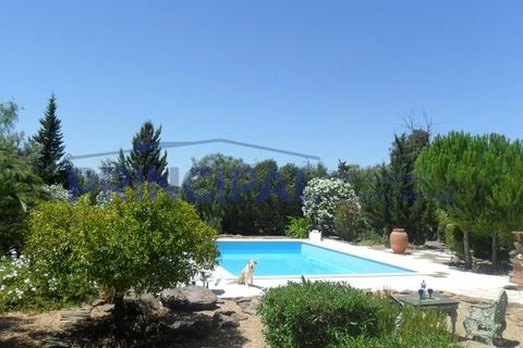 Farm hus i Ourique, Beja, Ourique - € 1.800.000 | Ref: P232 - foto 8