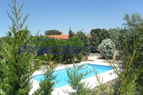 Farm hus i Ourique, Beja, Ourique - € 1.800.000 | Ref: P232 - foto 9