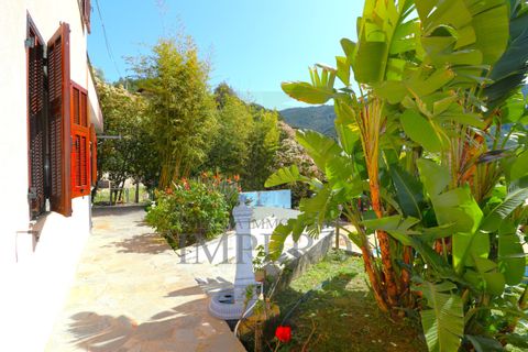 Villa a Vallebona, Imperia, Vallebona - € 850.000 | Ref: 22808 - foto 49