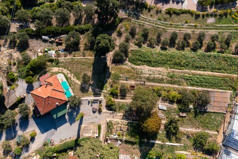 Villa i Bordighera, Imperia, Bordighera - € 850.000 | Ref: AG-DOM 5201 - foto 16