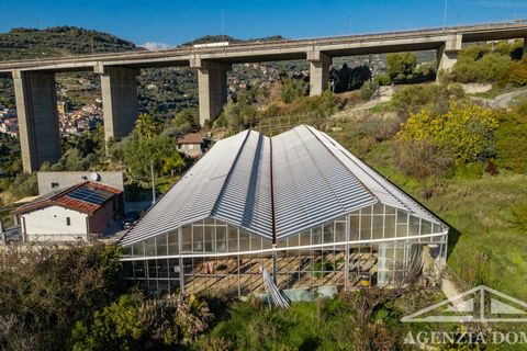 Villa a Bordighera, Imperia, Bordighera - € 490.000 | Ref: AG-DOM 5200 - foto 30