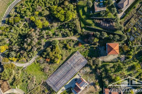 Villa a Bordighera, Imperia, Bordighera - € 490.000 | Ref: AG-DOM 5200 - foto 35