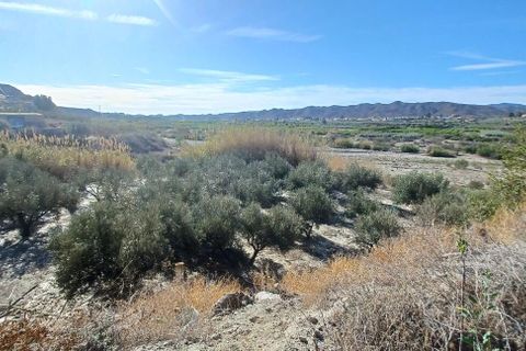 Erhvervsejendom i Arboleas, Almeria, Arboleas - € 45.000 | Ref: R22269 - foto 2